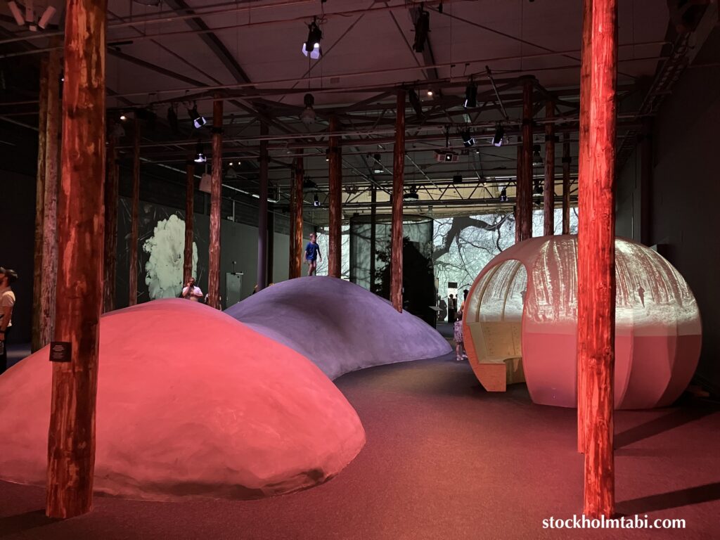 科学技術博物館の走り回れる小山
