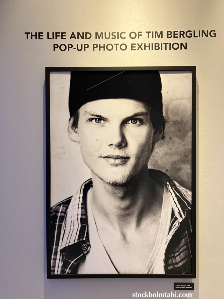 Aviciiの正面の写真