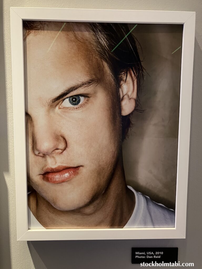 Aviciiの顔写真