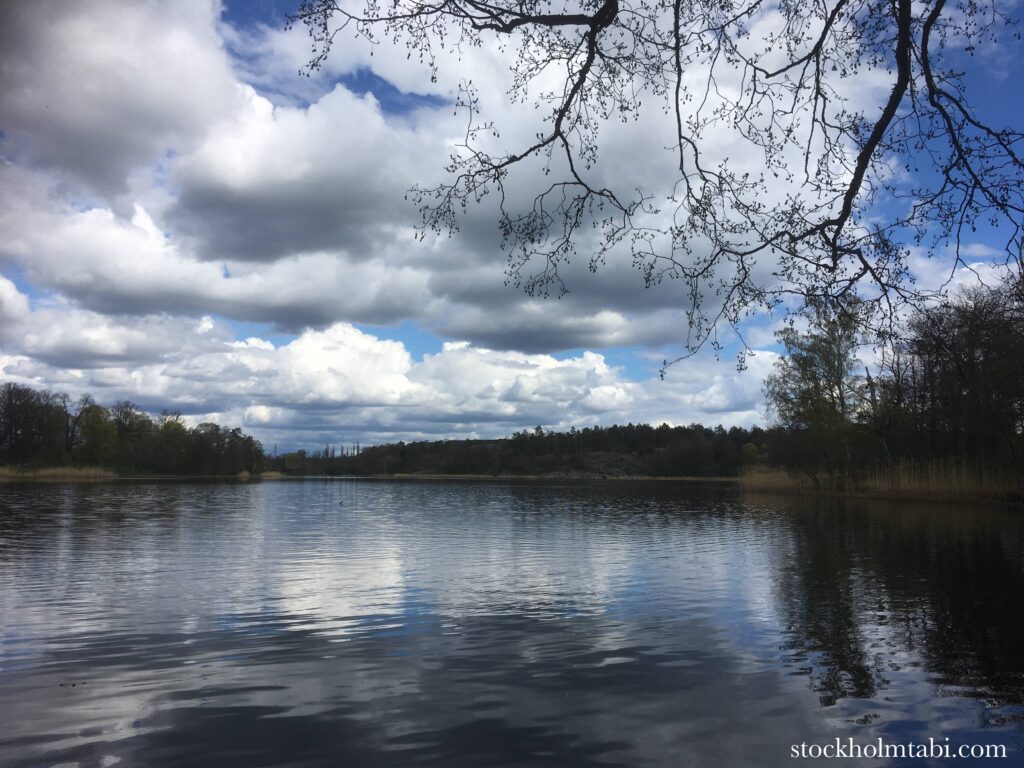 ハーガ公園の水辺