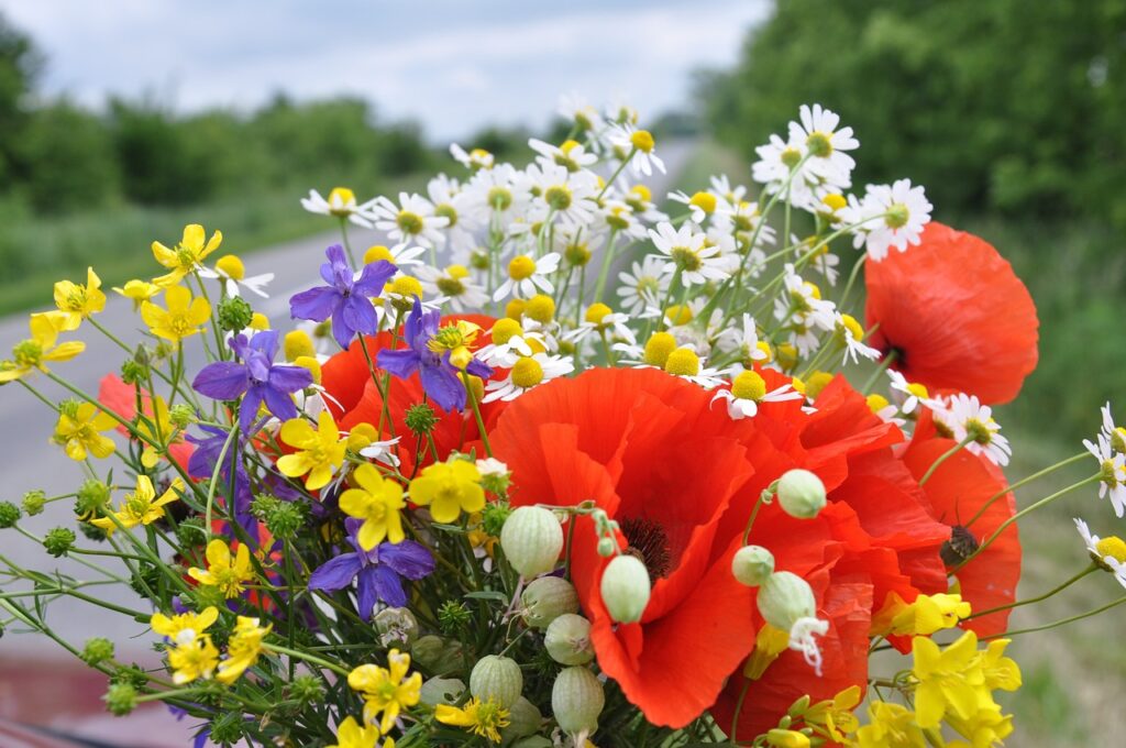 数種類の色とりどりのお花