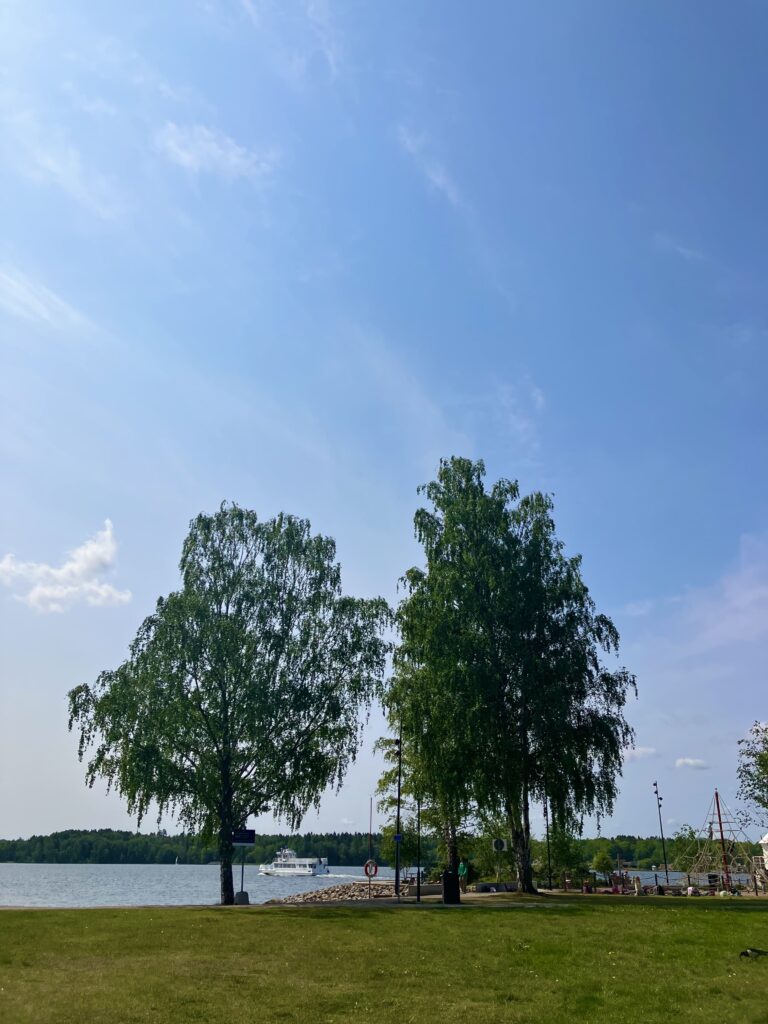 海辺の公園