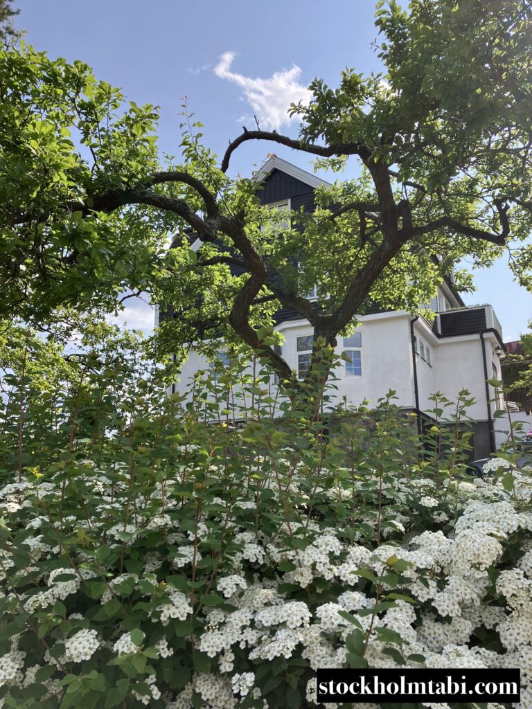 Lidingöの白い豪邸