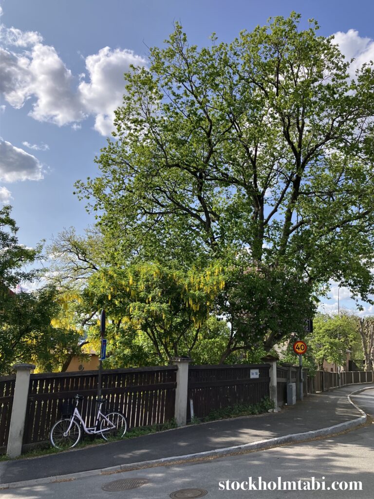 Lidingöの街並み