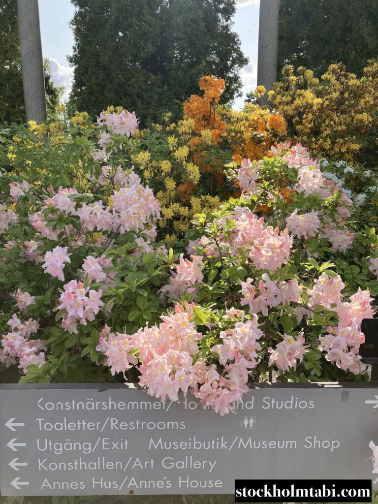 ピンクのお花