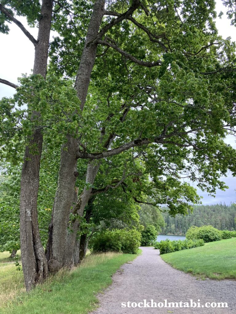 Tyresö Palace周辺のまっすぐ伸びる道