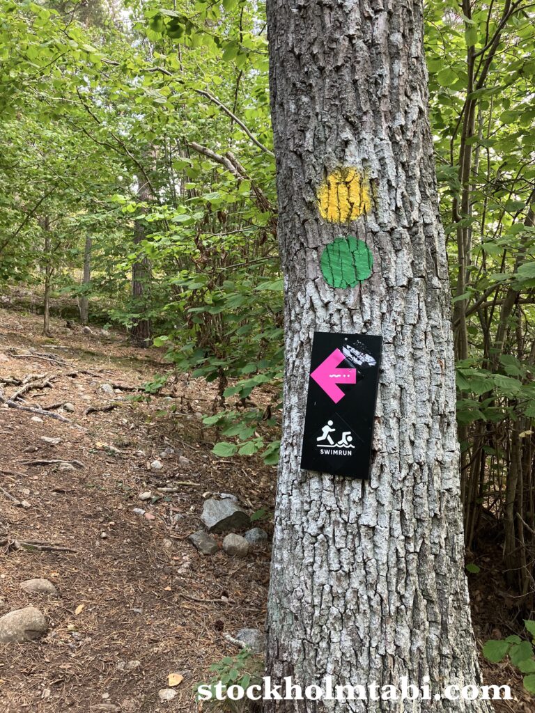 木についた黄色と緑とピンクの目印