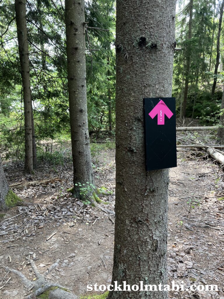 木に貼られたピンクの目印