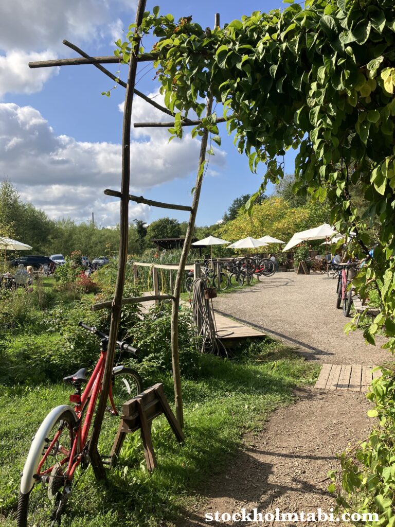 Kafé Källtorpの庭