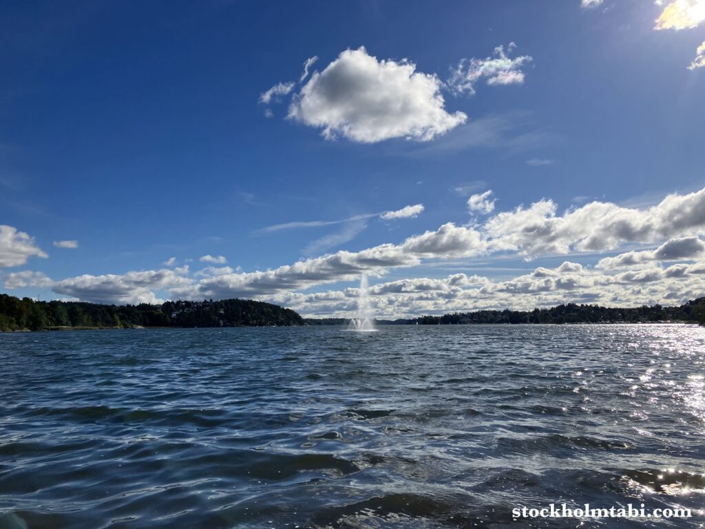 Edesbergs Slottの水辺と噴水