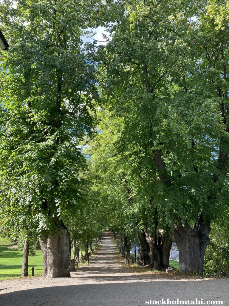 Edesbergs Slottの前の並木道