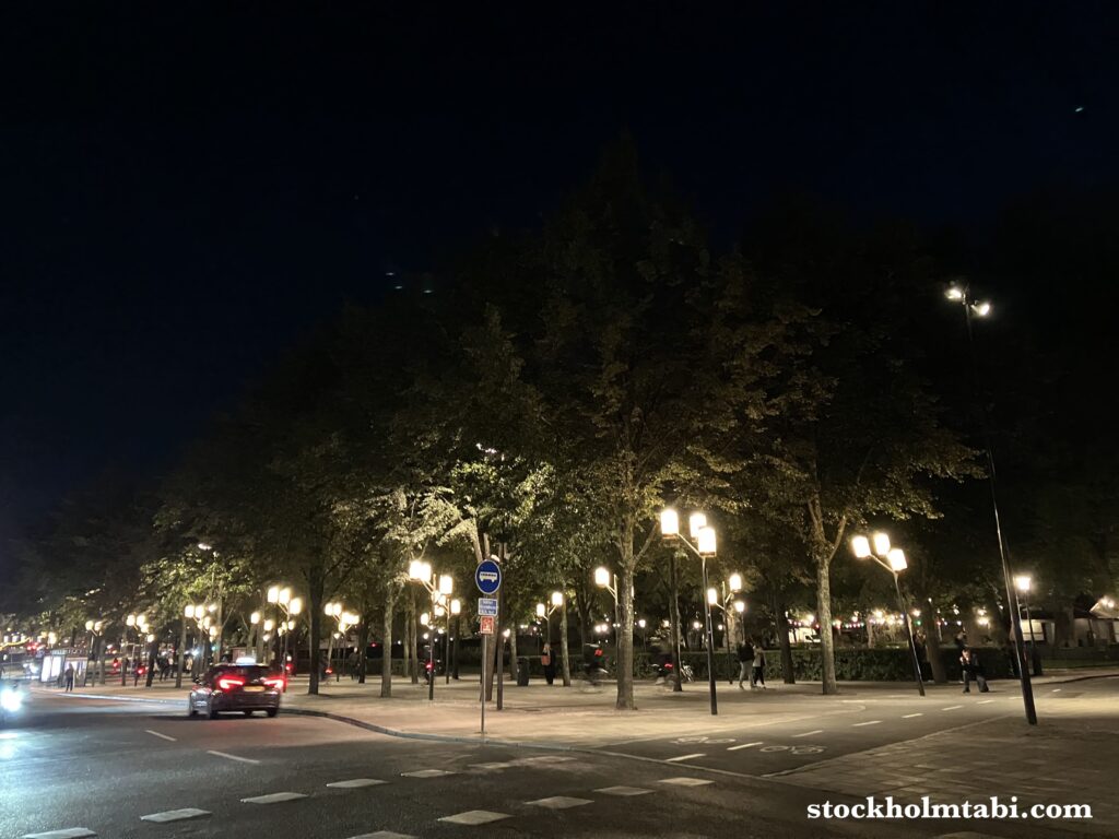 夜のストックホルム王立公園