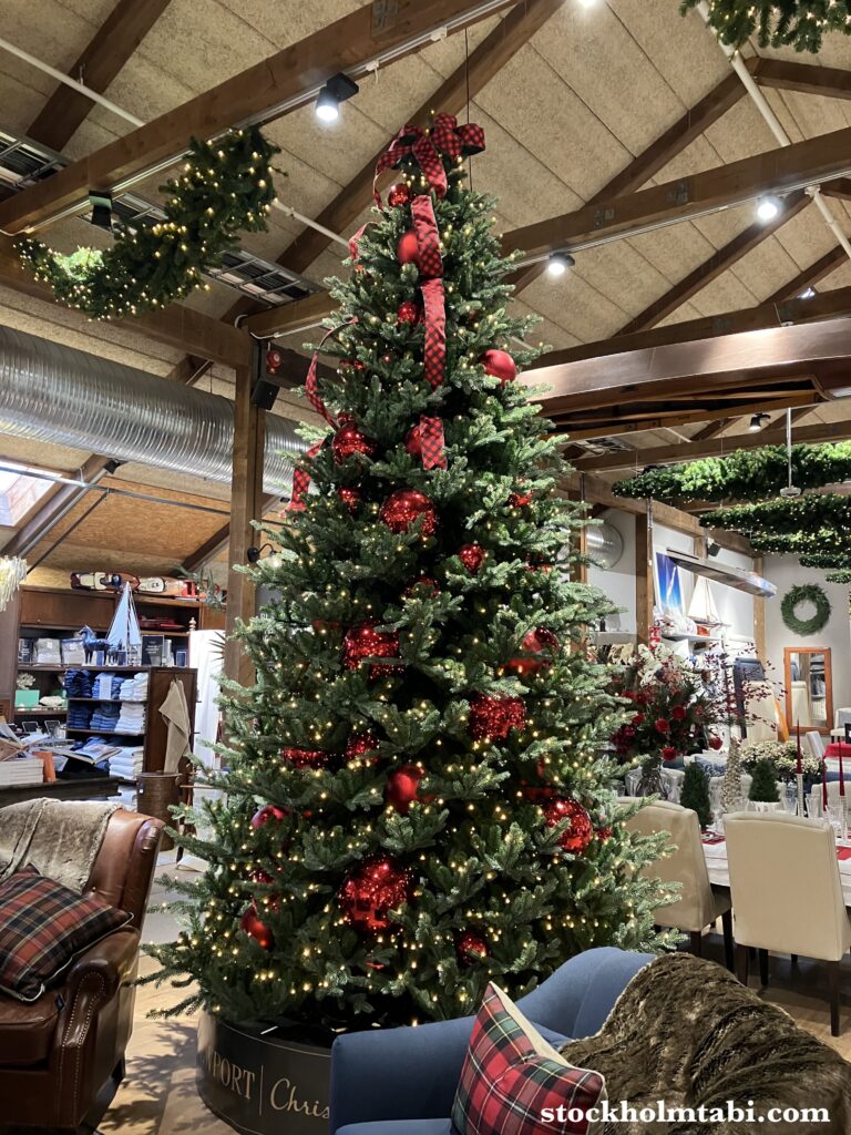 天井まで届きそうなニューポートのツリー