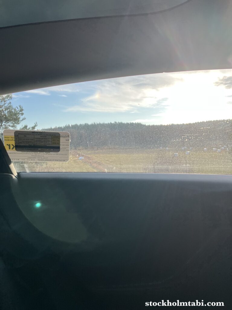 ストックホルム近郊でUber車内