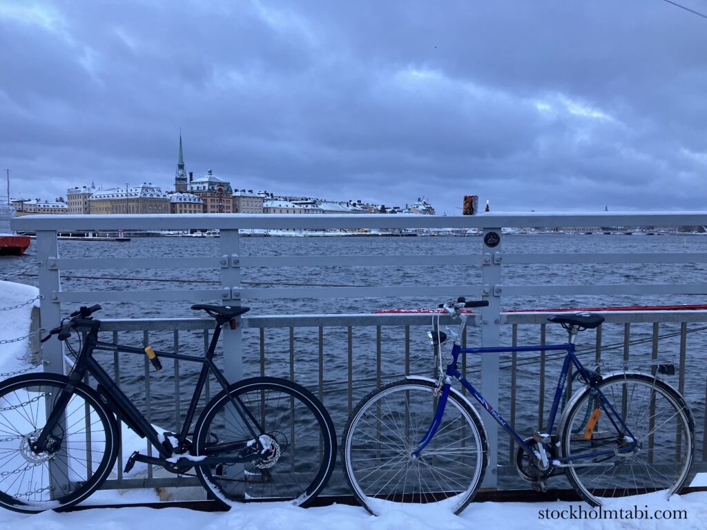 海をバッグに駐輪する自転車