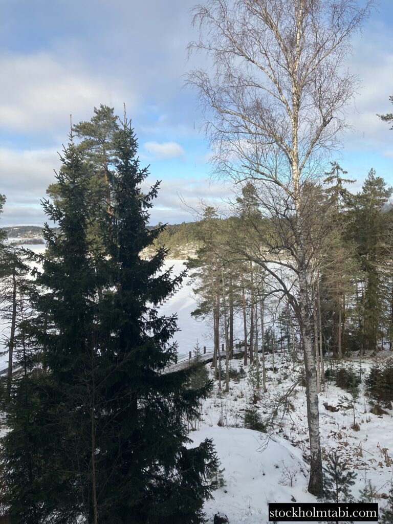 Artipelagから見える海と木々の景色