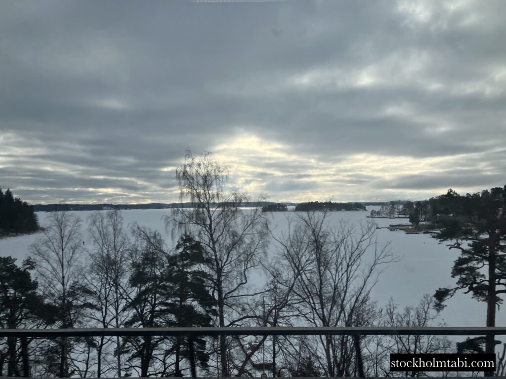 Artipelag行きの直通バスからの雪景色