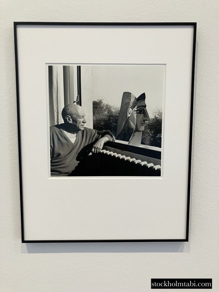 窓辺にいるピカソの写真