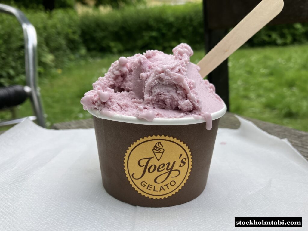 ウプサラのジェラート屋Joey´s Gelatoのブルーベリージェラート