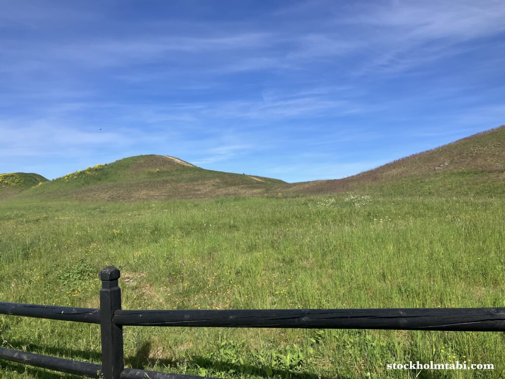 ガムラ・ウプサラの古墳