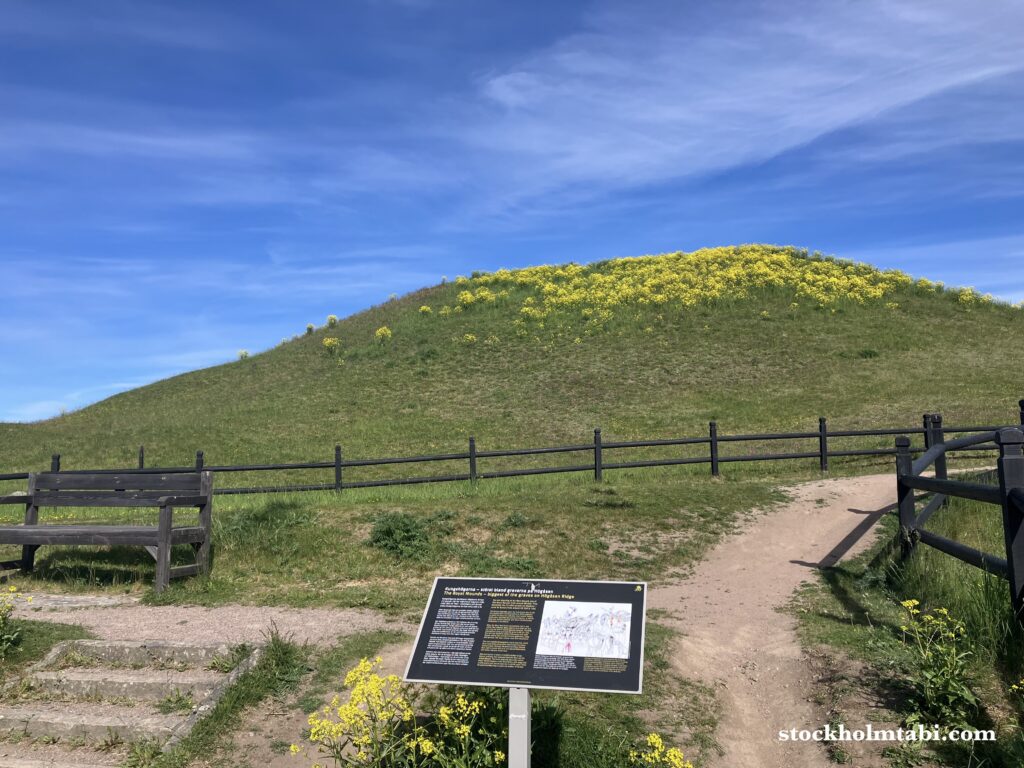 小山の様なガムラ・ウプサラの古墳