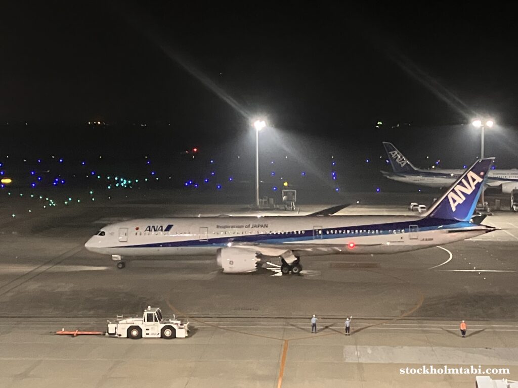 羽田空港展望デッキの飛行機から見えるANAの機体