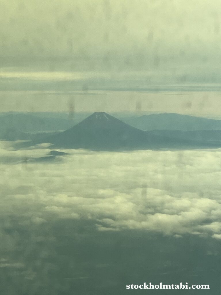 ANAのストックホルム↔︎羽田直行便から見える富士山